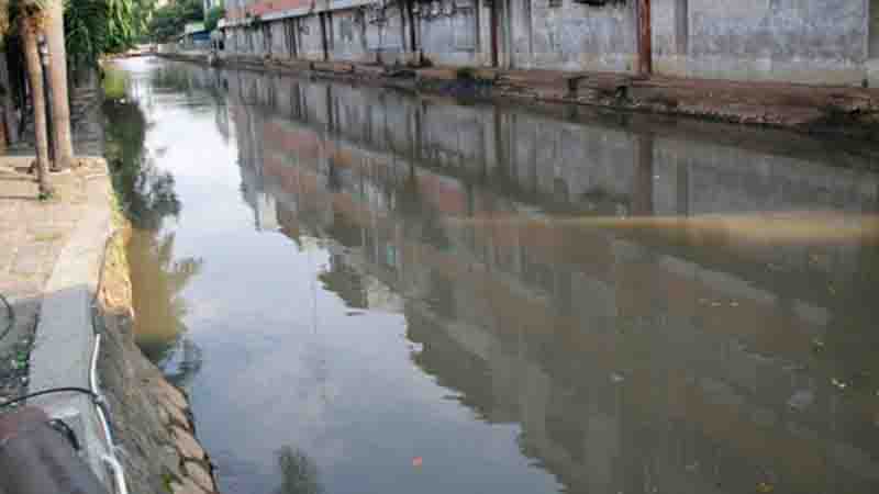 Anak Kali Ciliwung