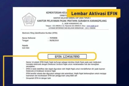 Electronic Filing Identification Number (EFIN)