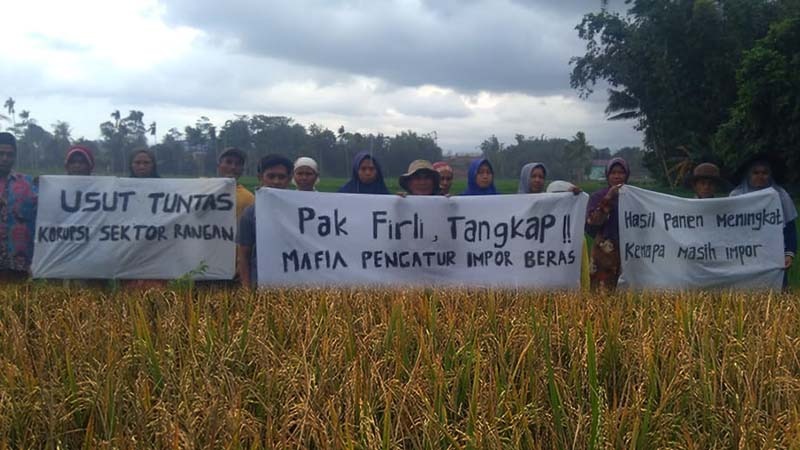 Paguyuban Petani Mandiri Pangan Kabupaten Cilacap, Kecamatan Majenang, Jawa Tengah