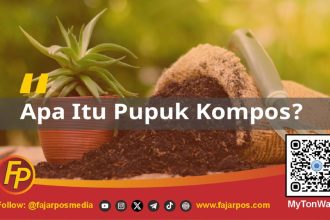 Apa Itu Pupuk Kompos?
