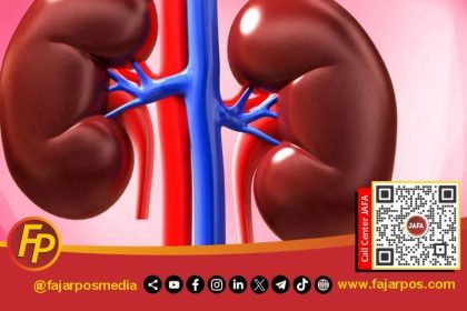 Ginjal Sehat Seseorang dapat Terhindar dari Risiko Cuci Darah