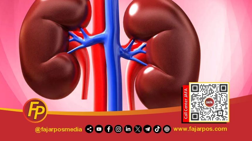 Ginjal Sehat Seseorang dapat Terhindar dari Risiko Cuci Darah
