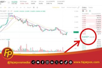 Harga Hamster Kombat di Spot Trading XT.com (Exchange)
