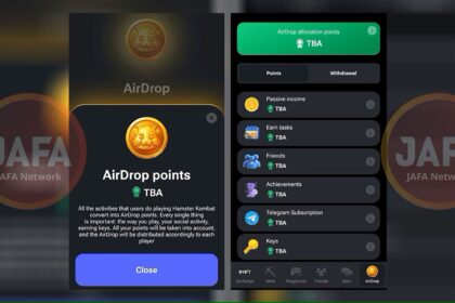 AirDrop dan Fitur Hamster Kombat (Allocation Points)