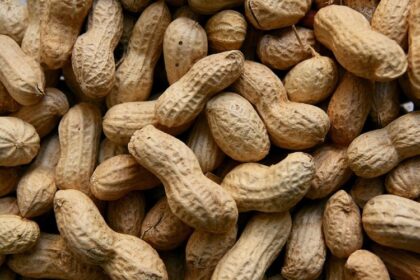 Kacang
