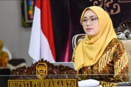 Mantan Bupati Purwakarta, Anne Ratna Mustika