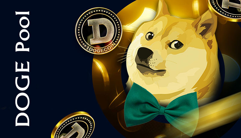 DOGE Pool