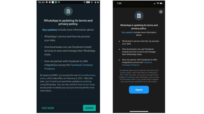 Notifikasi Kebijakan Privasi dan Persyaratan Baru Whatsapp